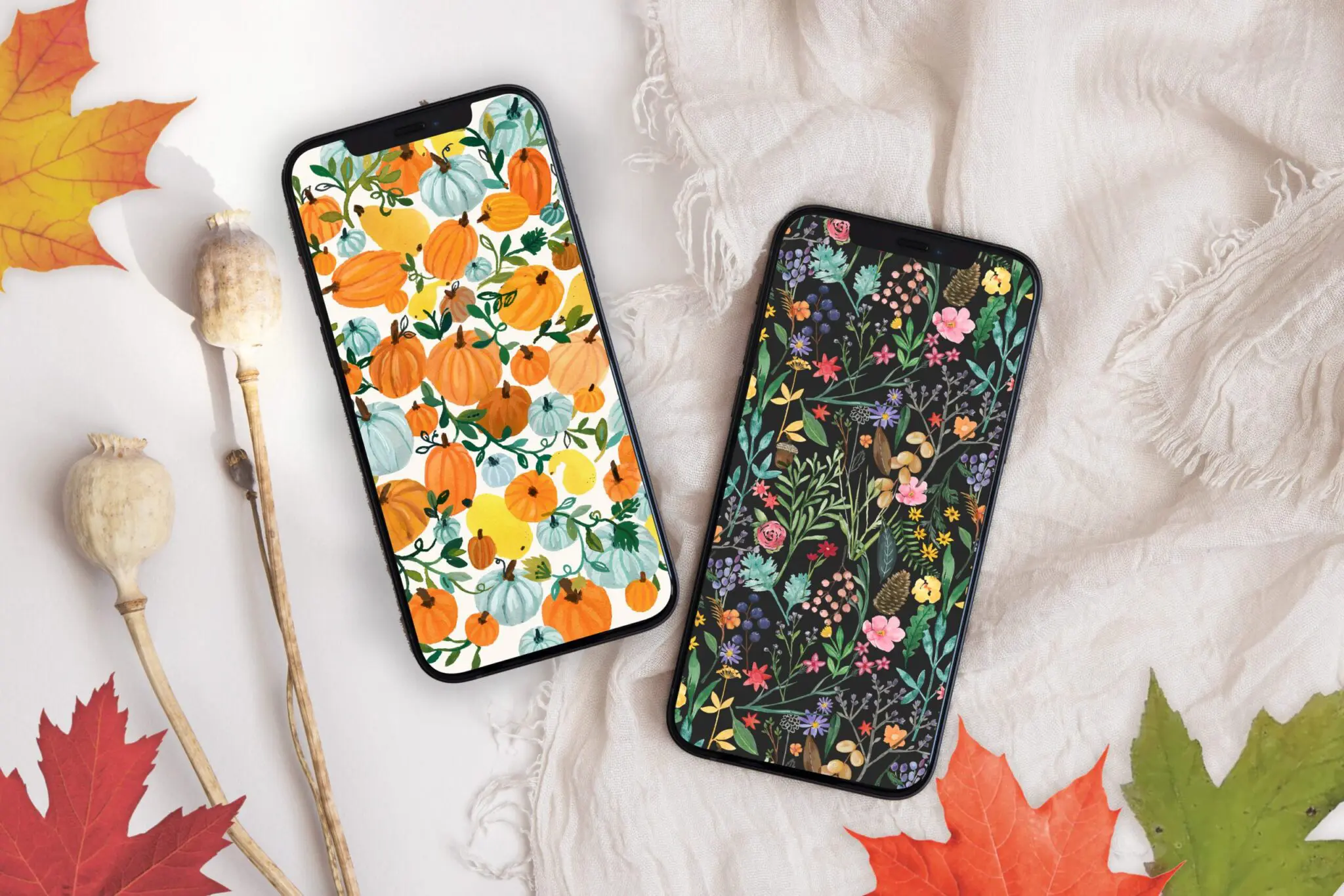 Free Autumn iPhone Wallpapers