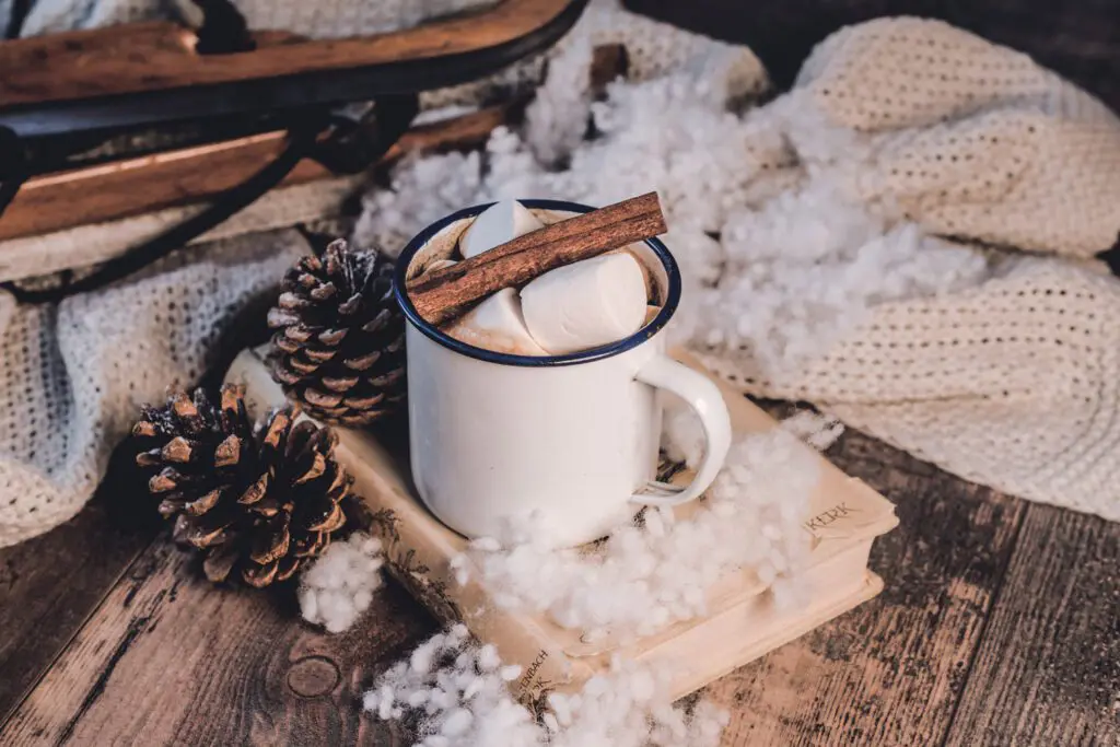 Christmas mug of hot cocoa