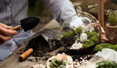 Creative Art designs using different creative things