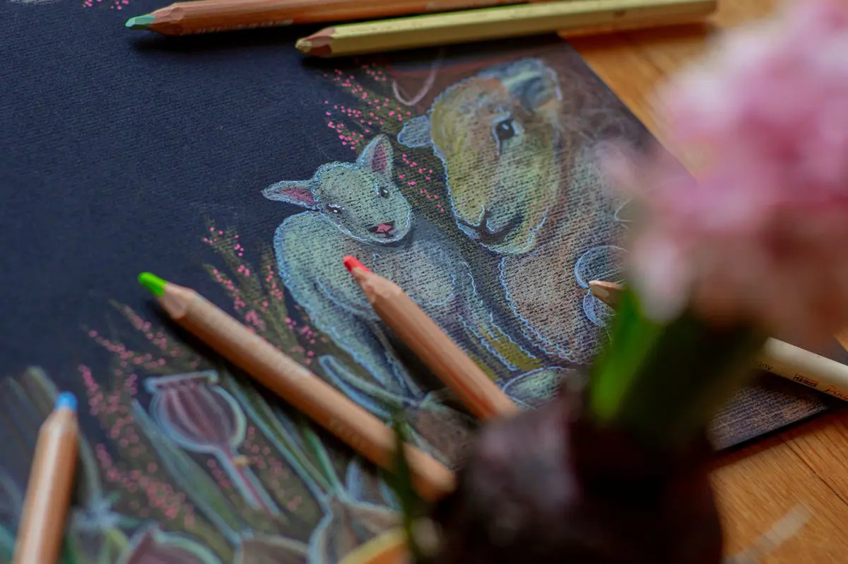 Colored pencils on black paper Colored-pencil drawing of two sheep on black paper surrounded by artist pencils, showing colored-pencil technique on dark paper