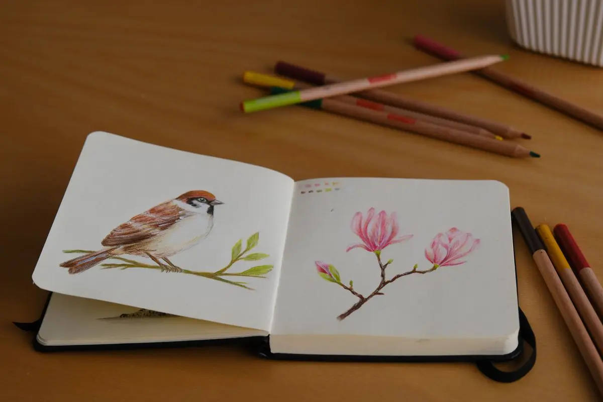 Shading and blending A sketchbook with colored-pencil drawings of a sparrow and magnolia blossoms, demonstrating shading and blending with colored pencils