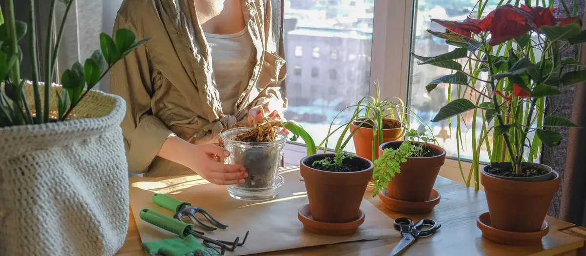 Gardening requires focus and attention, which naturally encourages mindfulness that can lift up your spirit