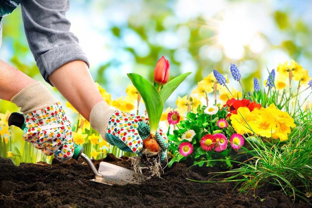 Gardening Can Lift Your Spirits