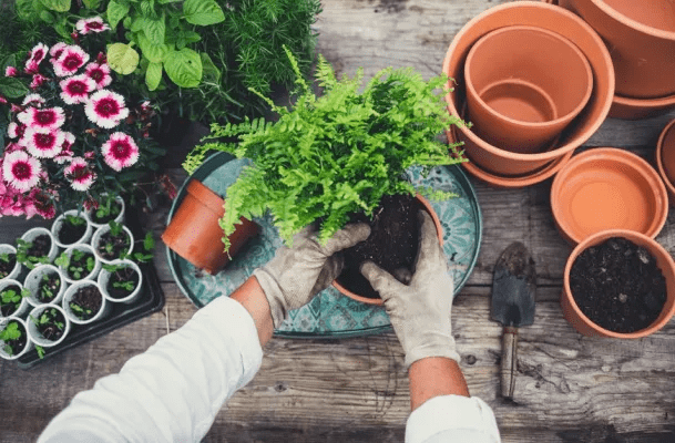 Gardening requires focus and attention, which naturally encourages mindfulness that can lift up your spirit