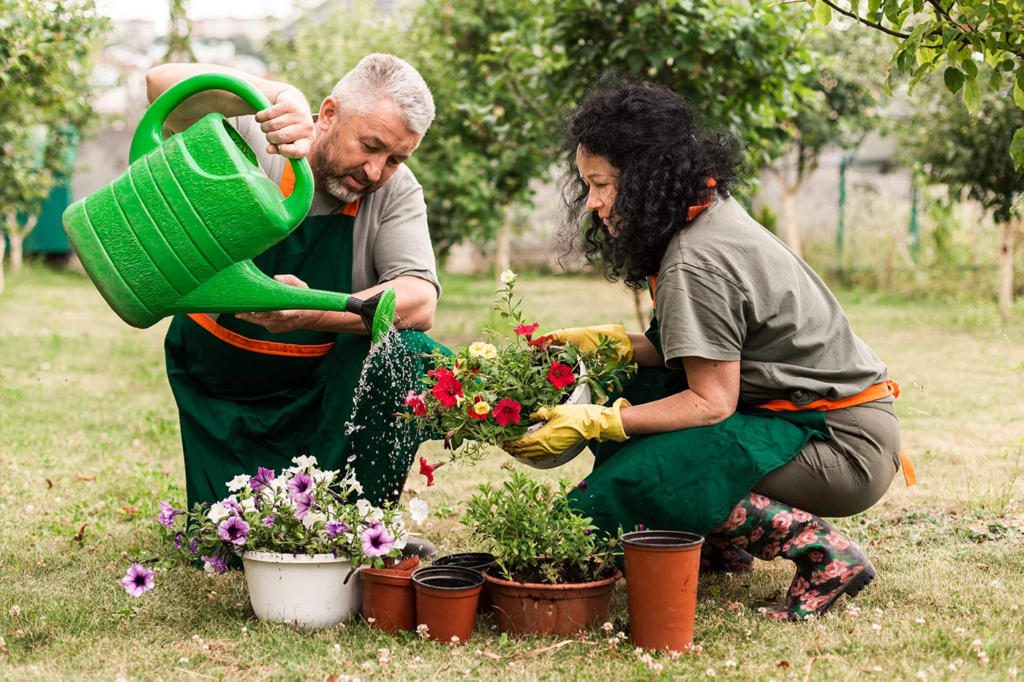 Gardening is a powerful form of therapy that offers numerous benefits for both mental and physical health