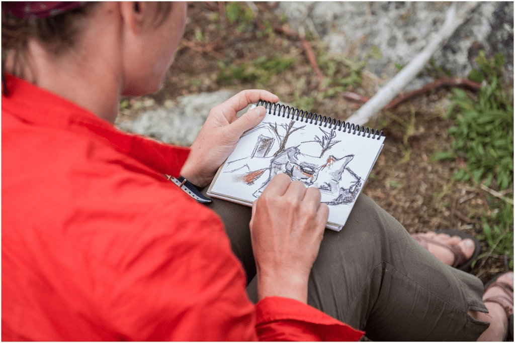 Nature journaling involves recording your observations and experiences in nature through writing, drawing, or both