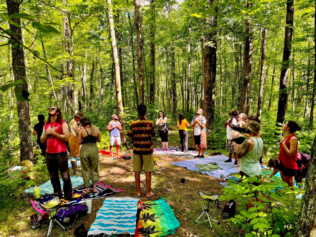 Once you’ve finished your forest bath, take a moment to reflect on how you feel